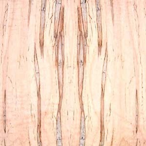 maple-qtr-wormy