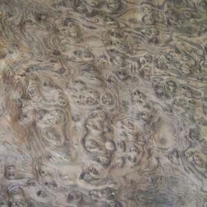 walnut-burl