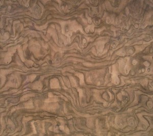 walnut burl sample