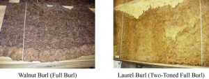 types of burls