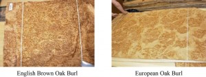 types of burls